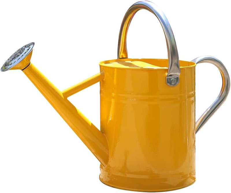 yourjoy Metal Watering Can, One Gallon Watering Cans Stainless Steel for Outdoor Indoor Garden Plants Watering (Yellow) - Image 1